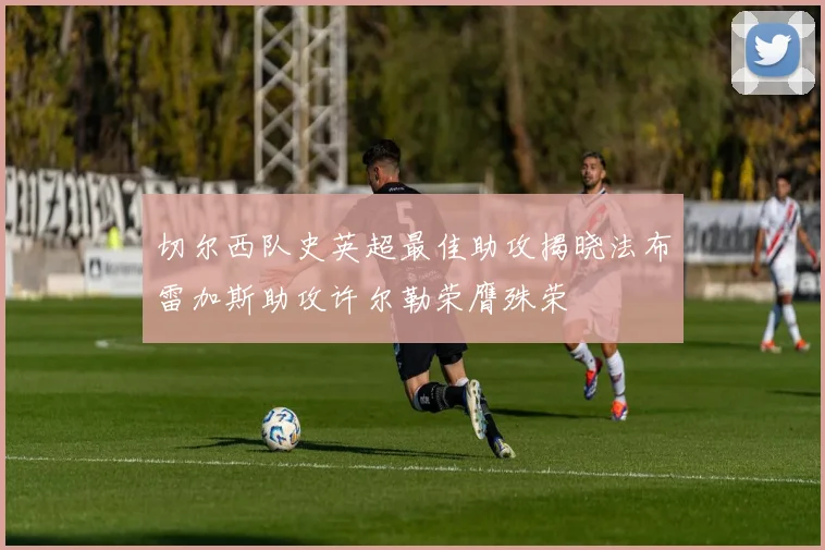 切尔西队史英超最佳助攻揭晓法布雷加斯助攻许尔勒荣膺殊荣