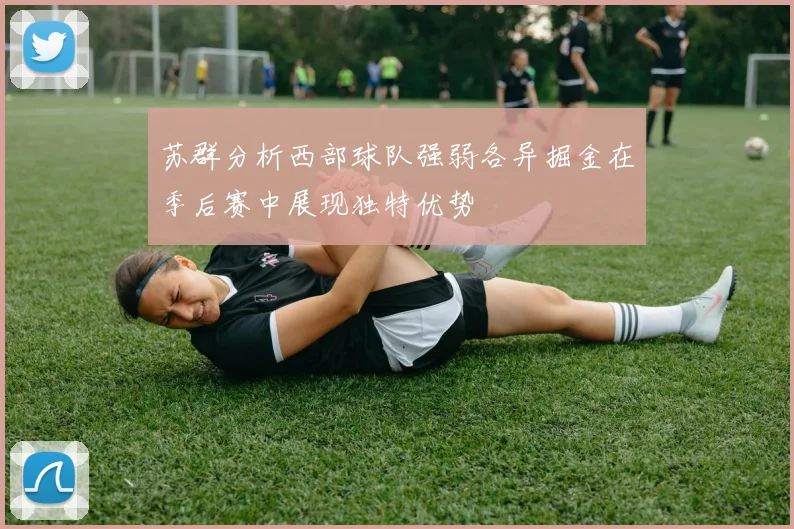 苏群分析西部球队强弱各异掘金在季后赛中展现独特优势