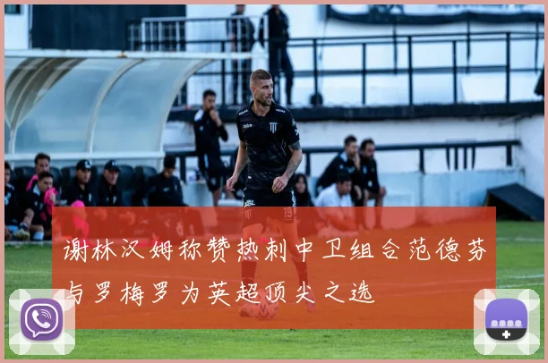 谢林汉姆称赞热刺中卫组合范德芬与罗梅罗为英超顶尖之选